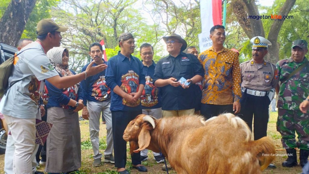 Kali Pertama Kontes Kambing dan Domba Piala Bupati Magetan 2024, Ada Kambing Seharga Rp 100 Juta